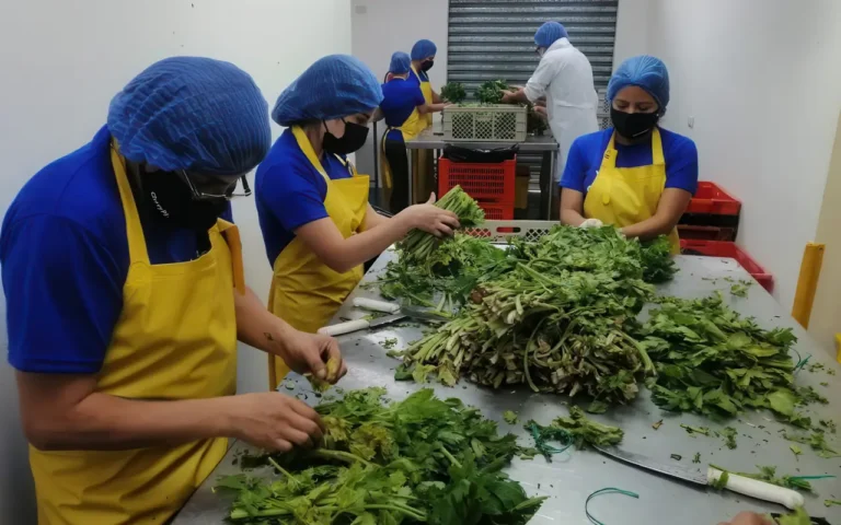 ChevyPlan suma al cambio RSE